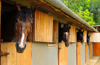 free Woolaston Woodside stable construction quotes